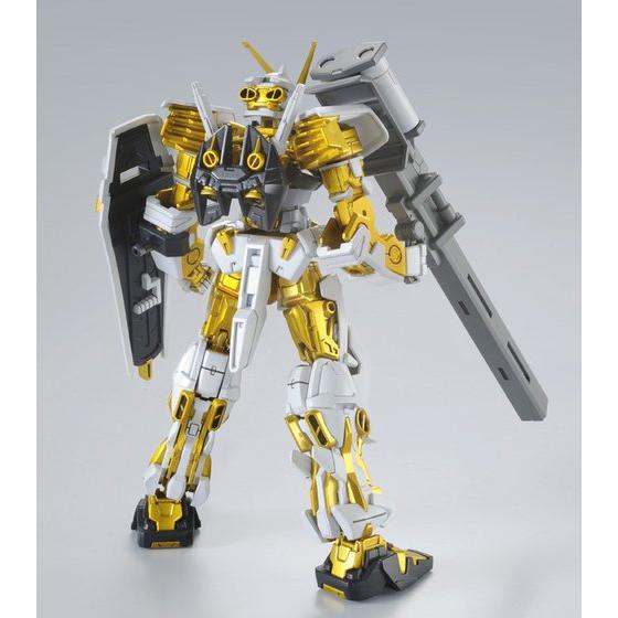 HG SEED Gundam Astray Gold Frame (PremiumBandai)